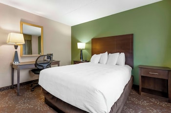 Standard Room, 1 Double Bed, Non Smoking, Refrigerator & Microwave