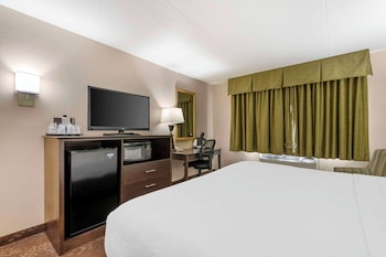 Standard Room, 1 King Bed, Accessible, Non Smoking (Walk-in Shower)