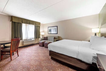 Standard Room, 1 King Bed, Non Smoking, Refrigerator & Microwave (Oversized Room;with Sofabed)