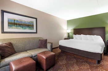 Standard Room, 1 King Bed, Non Smoking, Refrigerator & Microwave (Oversized Room;with Sofabed)