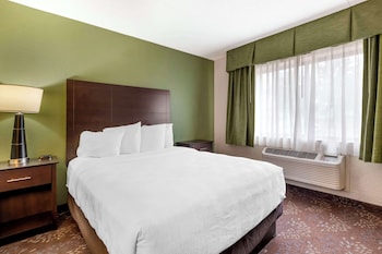 Standard Room, 1 Double Bed, Non Smoking, Refrigerator & Microwave