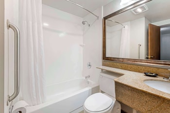 Standard Room, 1 King Bed, Accessible, Non Smoking (Walk-in Shower)
