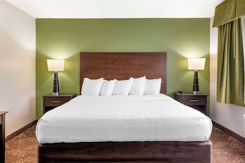 Standard Room, 1 King Bed, Accessible, Non Smoking (Walk-in Shower)