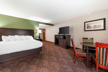 Standard Room, 1 King Bed, Non Smoking, Refrigerator & Microwave (Oversized Room;with Sofabed)