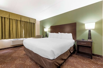 Standard Room, 1 King Bed, Non Smoking, Refrigerator & Microwave