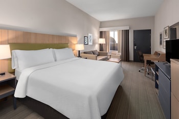Standard Room, 1 King Bed with Sofa bed