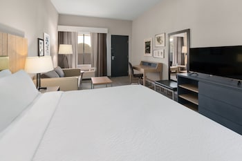 Standard Room, 1 King Bed with Sofa bed