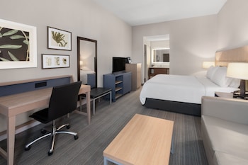 Standard Room, 1 King Bed with Sofa bed