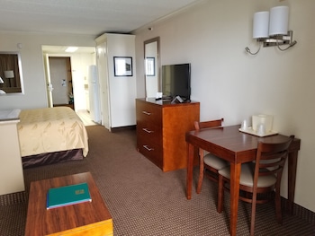 Efficiency, Standard Room, 1 King Bed with Sofa bed, Non Smoking