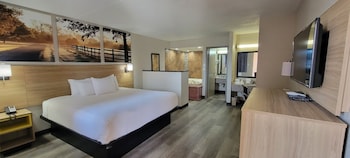 Suite, 1 King Bed