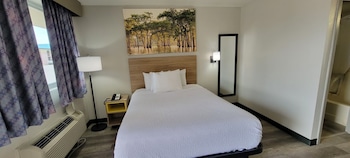 Standard Room, 1 Queen Bed