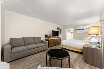 Standard Room, 1 King Bed with Sofa bed, Beach View