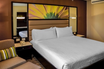 Room, 1 King Bed, City View