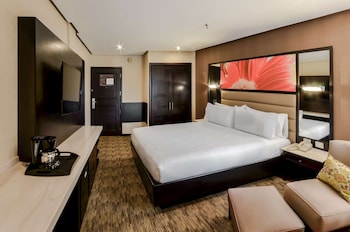 Room, 1 King Bed