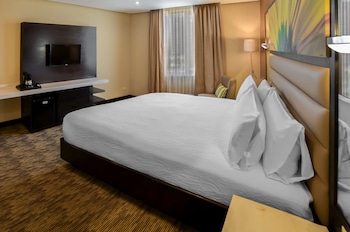 Room, 1 King Bed, City View