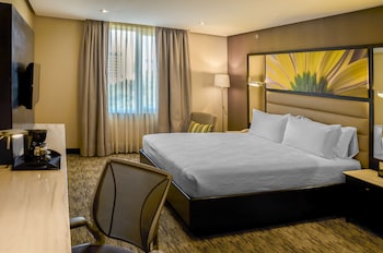 Room, 1 King Bed, City View