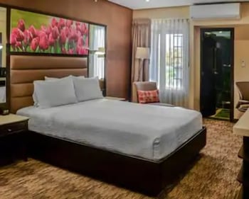 Room, 1 Queen Bed