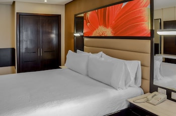 Room, 1 King Bed
