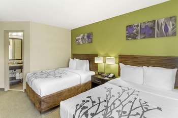 Standard Room, 2 Double Beds, Non Smoking