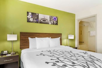 Room, 1 Queen Bed, Non Smoking