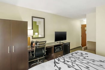 Room, 1 King Bed, Non Smoking