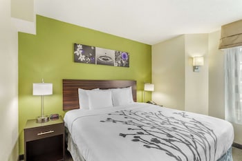 Room, 1 King Bed, Non Smoking