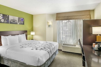 Room, 1 King Bed, Non Smoking