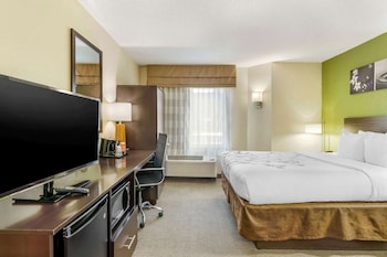 Room, 1 Queen Bed, Non Smoking