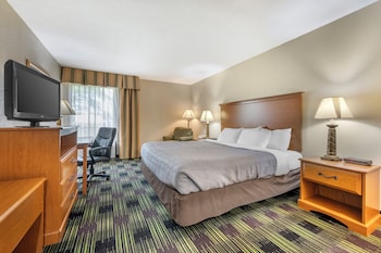 Room, 1 King Bed, Non Smoking
