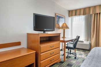 Room, 1 King Bed, Accessible, Non Smoking