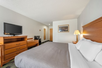 Room, 1 King Bed, Non Smoking