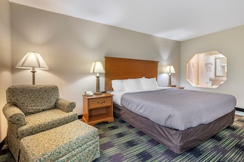 Room, 1 King Bed, Non Smoking, Jetted Tub