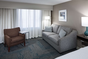 Room, 1 King Bed with Sofa bed