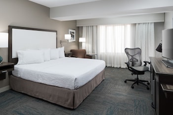 Room, 1 King Bed, Accessible (Roll-In Shower)