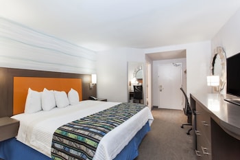Studio Suite, 1 King Bed, Non Smoking