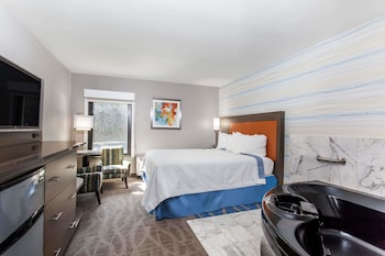Studio Suite, 1 Queen Bed, Non Smoking