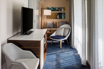 Room, 1 King Bed, Accessible, City View (Roll-In Shower)