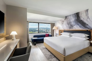 Room, 1 King Bed