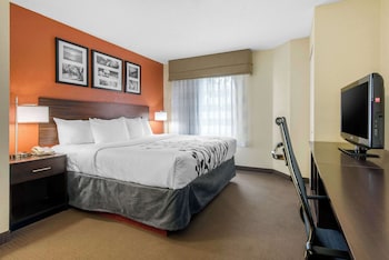 Standard Room, 1 King Bed, Non Smoking