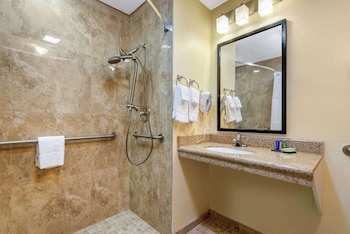 Room, 1 Double Bed, Accessible, Non Smoking (Roll-In Shower)