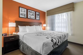 Standard Room, 1 King Bed, Non Smoking