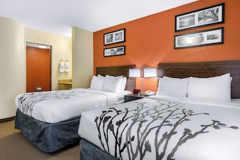 Standard Room, 2 Double Beds, Non Smoking