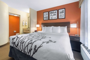 Standard Room, 1 King Bed, Non Smoking