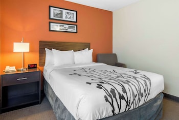 Room, 1 Double Bed, Accessible, Non Smoking (Roll-In Shower)