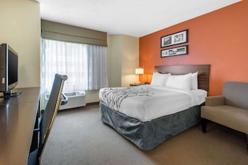 Room, 1 Double Bed, Accessible, Non Smoking (Roll-In Shower)