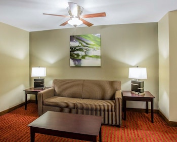 Suite, 1 King Bed with Sofa bed, Accessible, Non Smoking