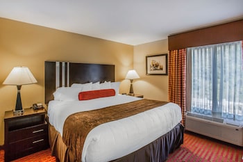 Suite, 1 King Bed with Sofa bed, Non Smoking