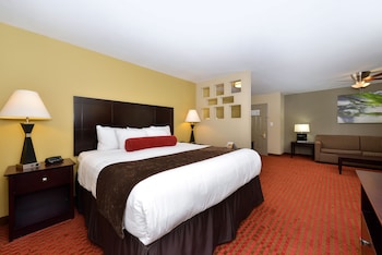 Suite, 1 King Bed with Sofa bed, Non Smoking