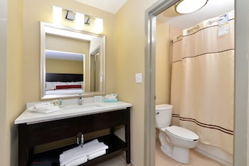 Suite, 1 King Bed with Sofa bed, Non Smoking
