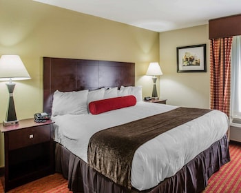 Suite, 1 King Bed with Sofa bed, Accessible, Non Smoking